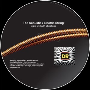 DR ZEBRA Acoustic-Electric