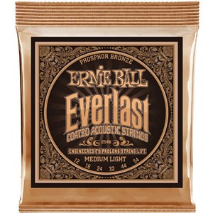 ERNIE BALL 2546 12-54 Everlast Phosphor Bronze medium light