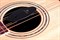Planet Waves GH Humidifier (Увлажнитель для ак.гитары) - фото 6391