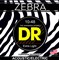 10-48 DR ZEBRA Acoustic-Electric ZAE-10